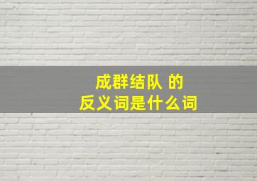 成群结队 的反义词是什么词